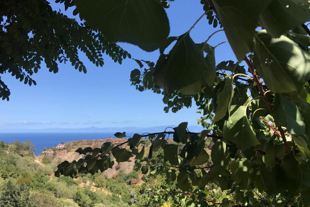 Photo of Outdoor in Gasponi