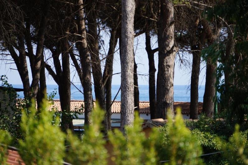 Photo of Others in Roccelletta