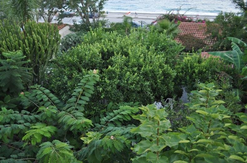 Photo of Outdoor in Bova Marina