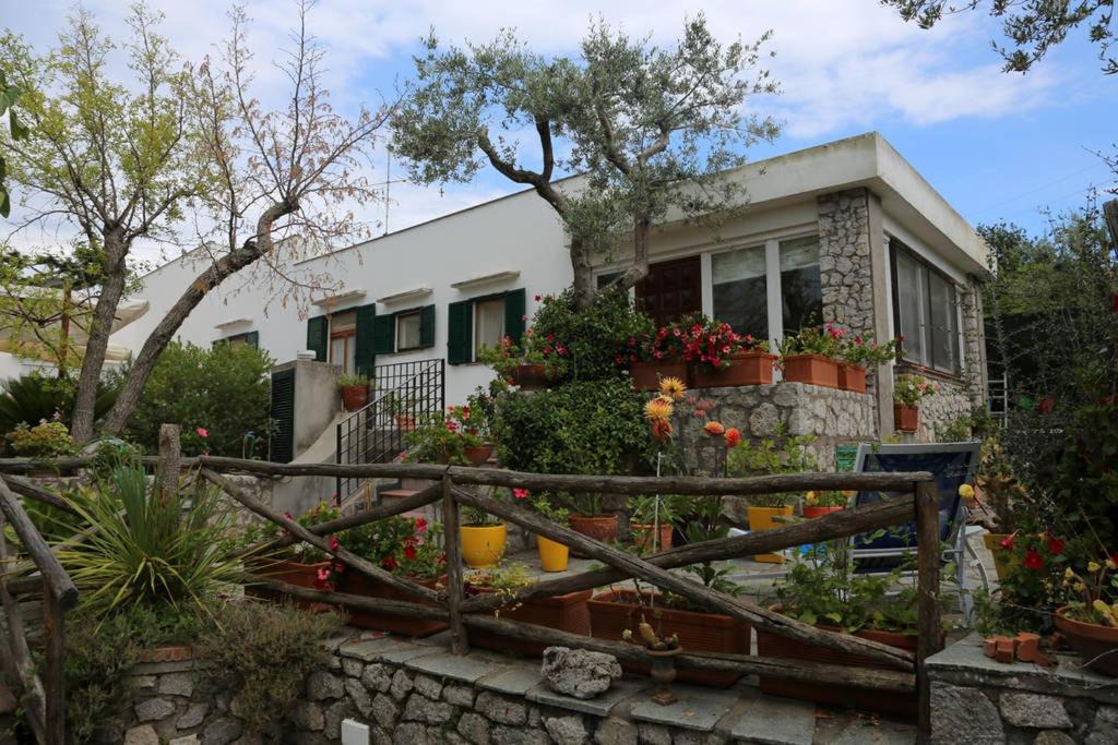 Photo of Buildings in Anacapri