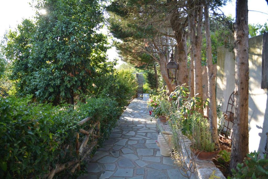 Photo of Others in Anacapri