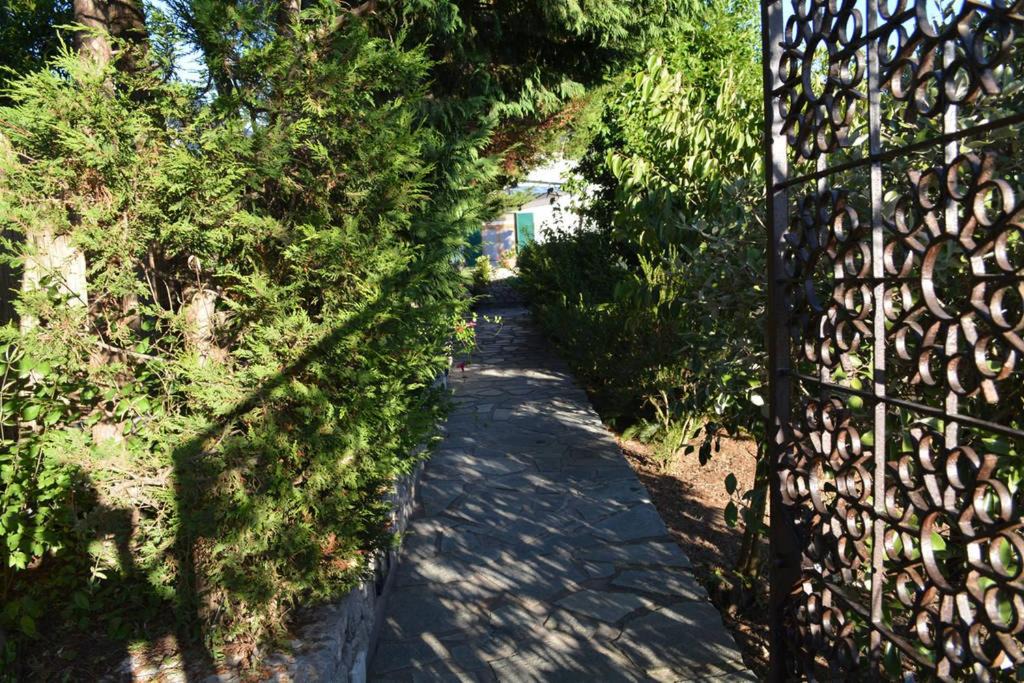 Photo of Others in Anacapri