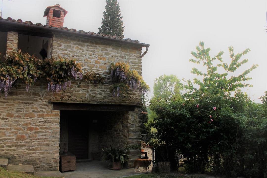Photo of Others in Capolona