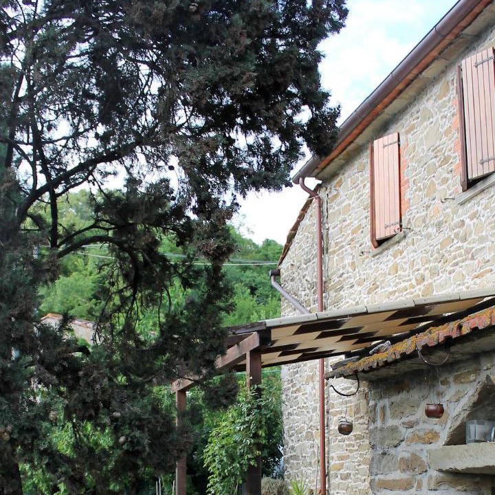Photo of Others in Capolona