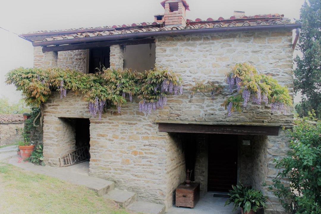 Photo of Others in Capolona