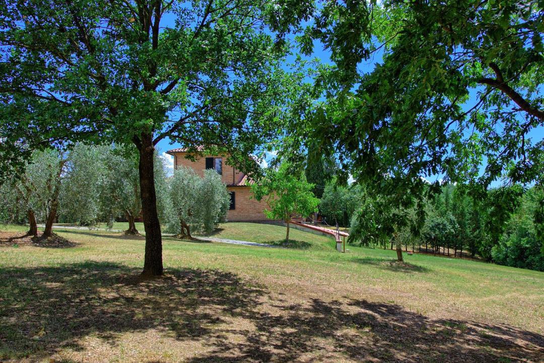 Photo of Others in Lucignano