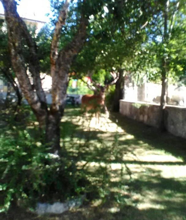 Photo of Others in Villetta Barrea