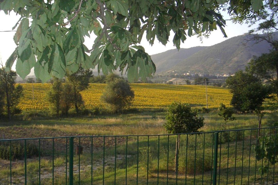 Photo of Others in Costacciaro