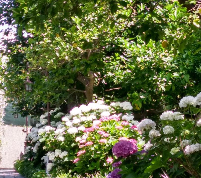 Photo of Outdoor in Marina Grande