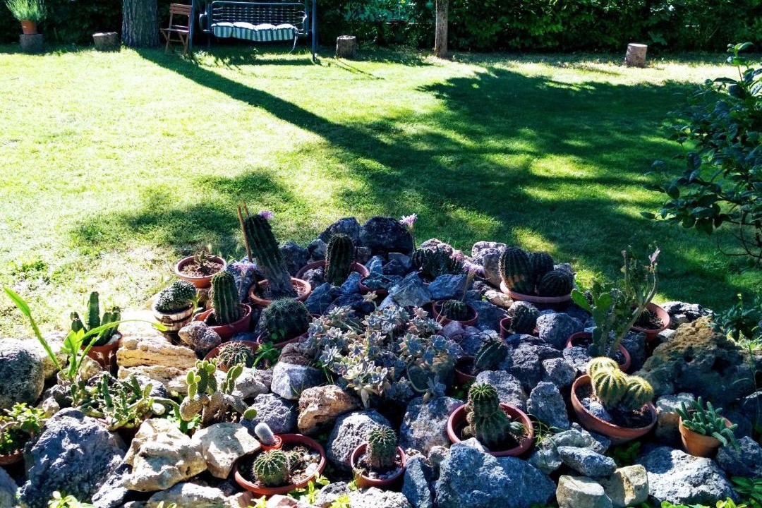 Photo of Others in San Mariano