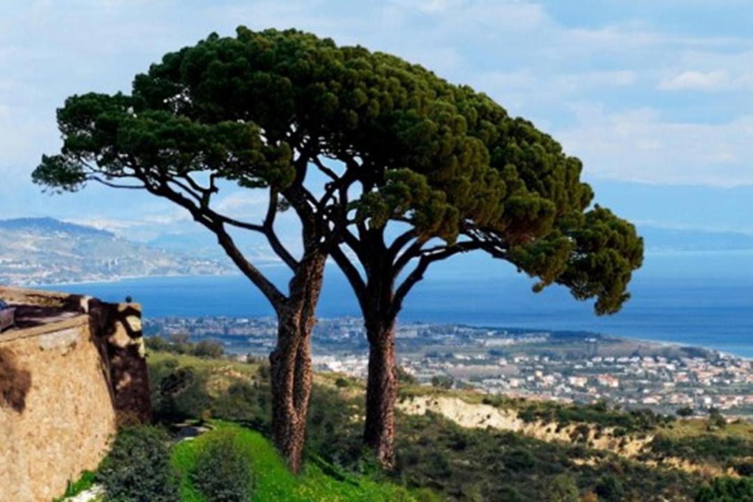 Photo of Outdoor in Sant'Andrea Apostolo dello Ionio