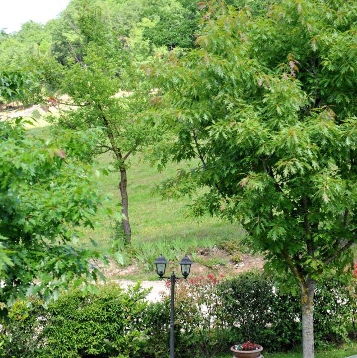 Photo of Outdoor in Poppi
