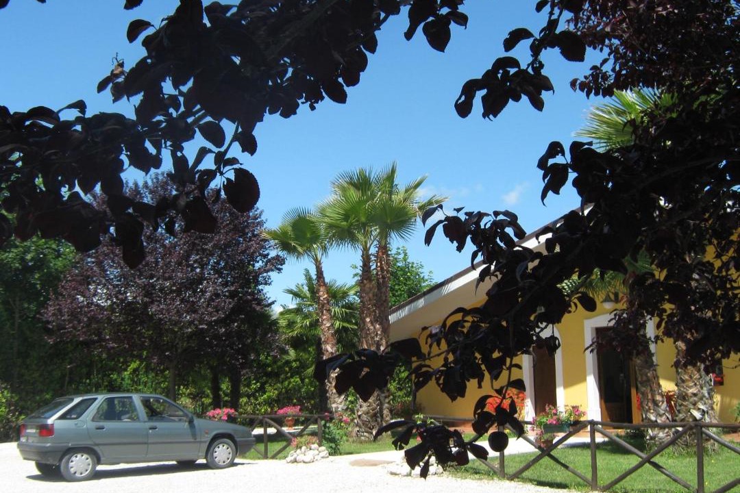 Photo of Others in Rosciano