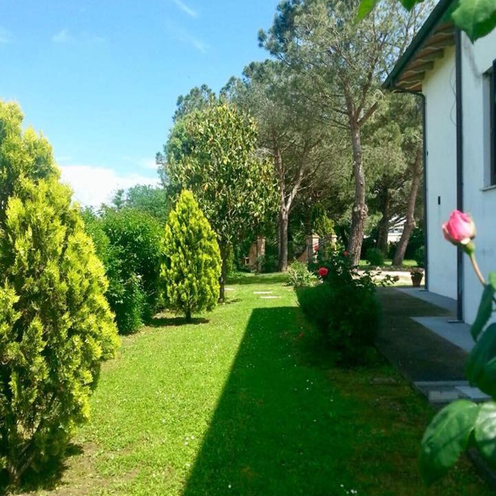 Photo of Others in Castiglione del Lago