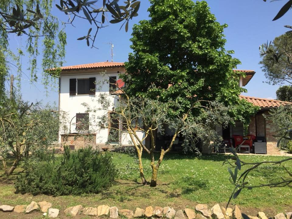 Photo of Buildings in Castiglione del Lago