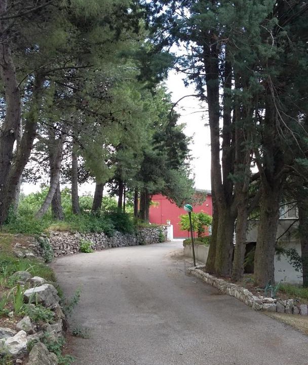 Photo of Others in Torrecuso