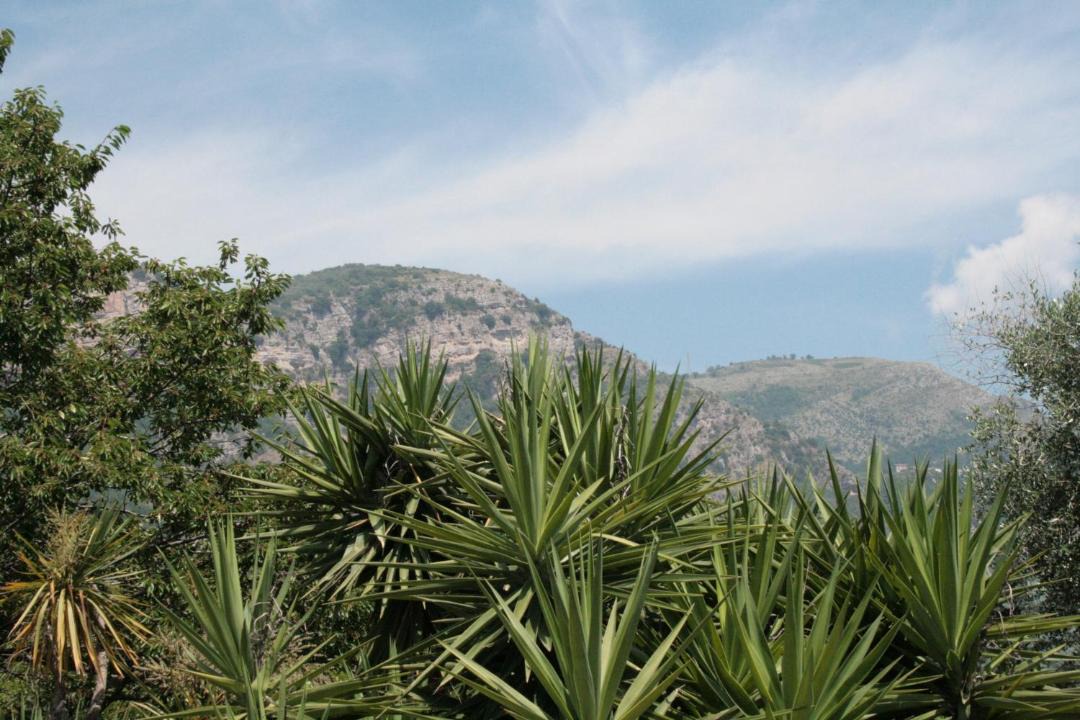 Photo of Outdoor in Piano di Sorrento