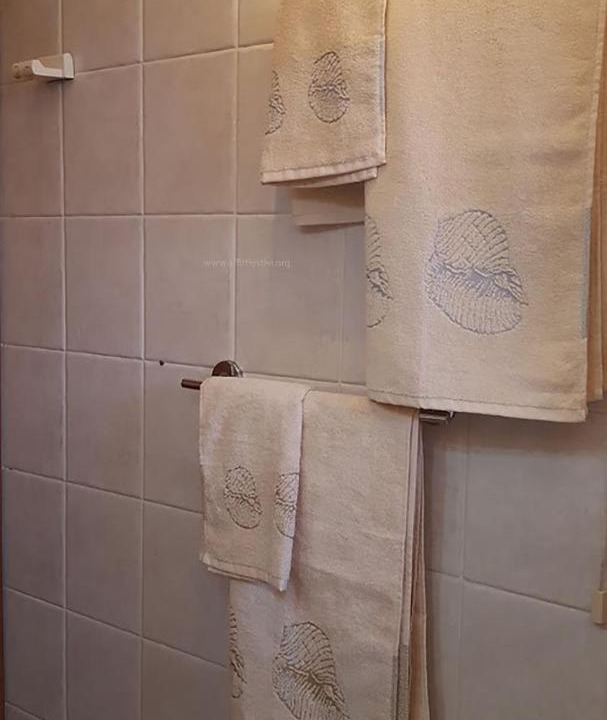 Photo of Bathroom in Pineto
