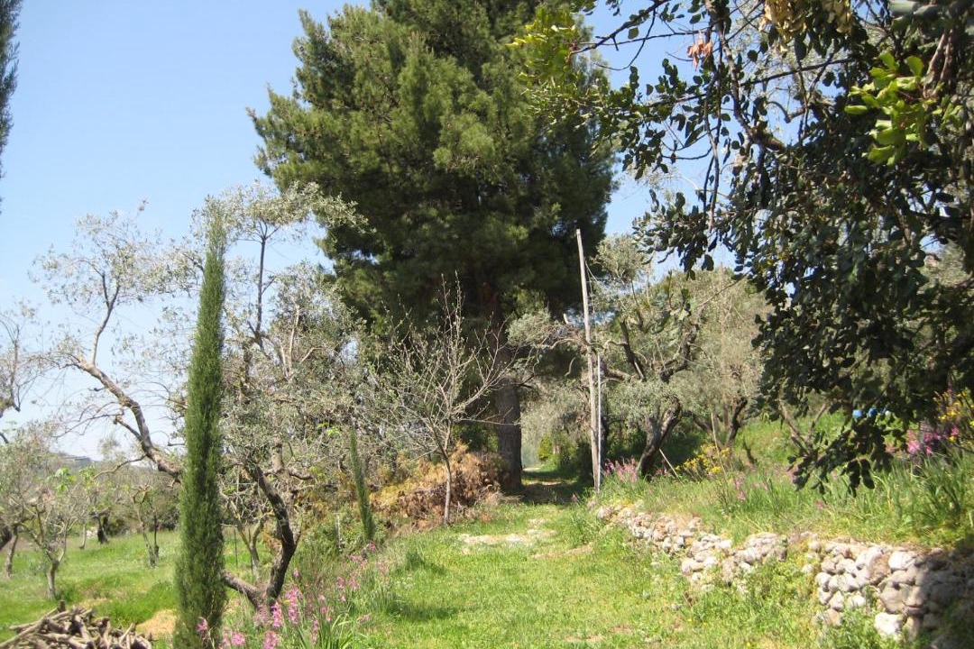 Photo of Others in Itri