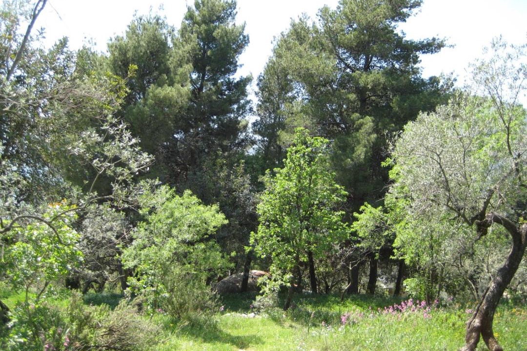 Photo of Outdoor in Itri