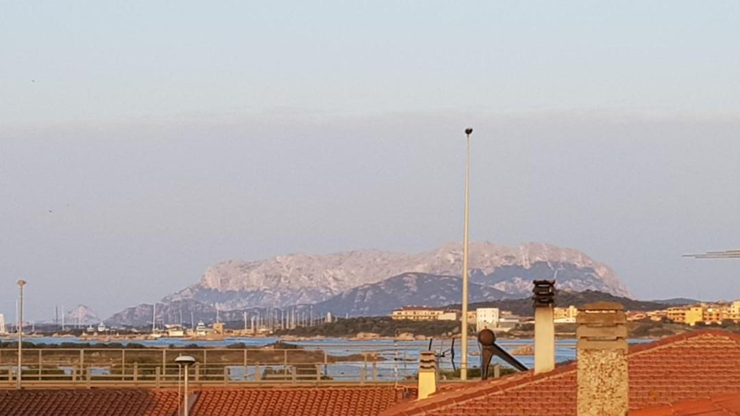 Photo of Others in Olbia