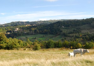 A Stay Surrounded by Greenery - Agriturismo La Piaggia -App 2 Guests