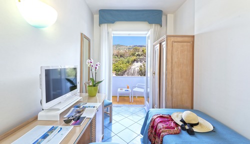 Classic Single Room, 1 Twin Bed