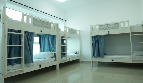 Superior Shared Dormitory