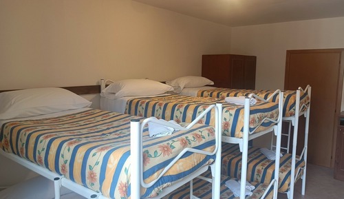 Standard Shared Dormitory