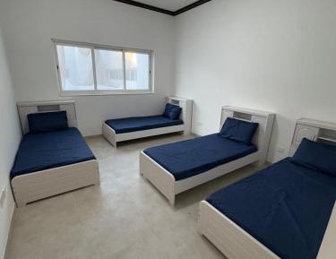 Bed in 4-Bed Dormitory Room