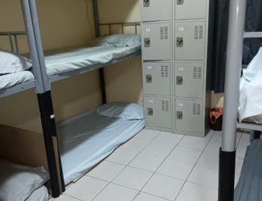 Single Bed in 6-Bed Dormitory Room